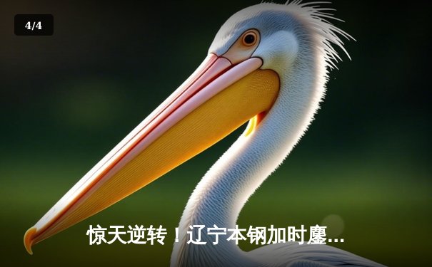 惊天逆转！辽宁本钢加时鏖战力克广东宏远 总决赛悬念再起 - 4